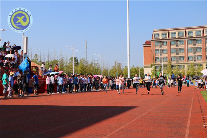 運(yùn)動(dòng)場上的另一抹色彩(圖2)