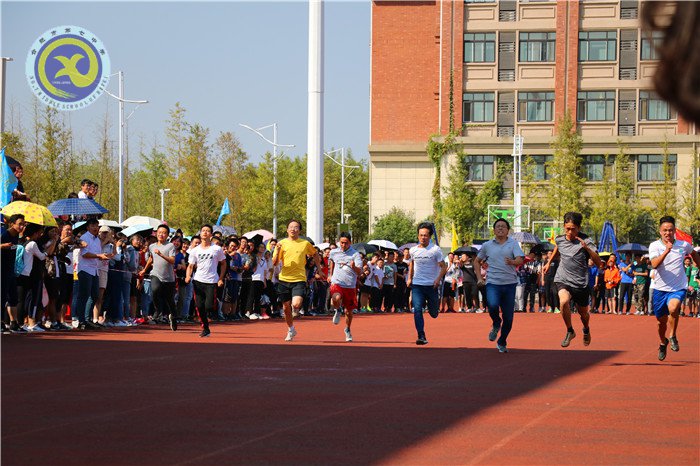 運(yùn)動(dòng)場上的另一抹色彩(圖3)