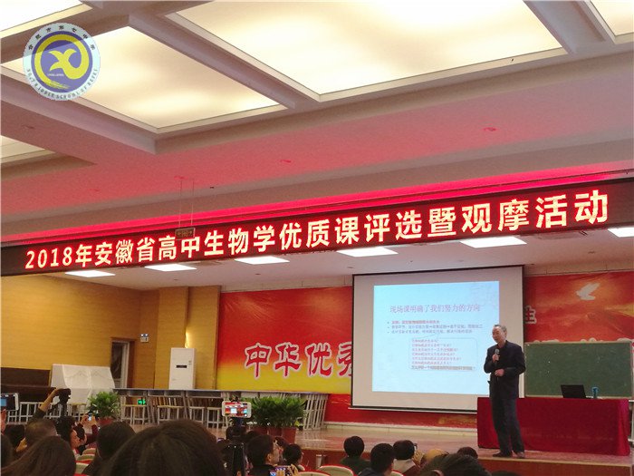 兼收并蓄拓視野，合作教研助成長(圖6)