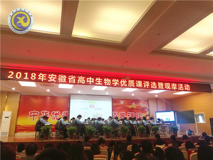 兼收并蓄拓視野，合作教研助成長(圖3)