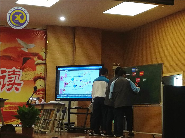 兼收并蓄拓視野，合作教研助成長(圖4)