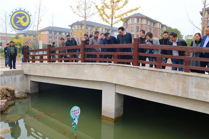 靜心辦學(xué)，校長(zhǎng)最美的姿態(tài)(圖9)