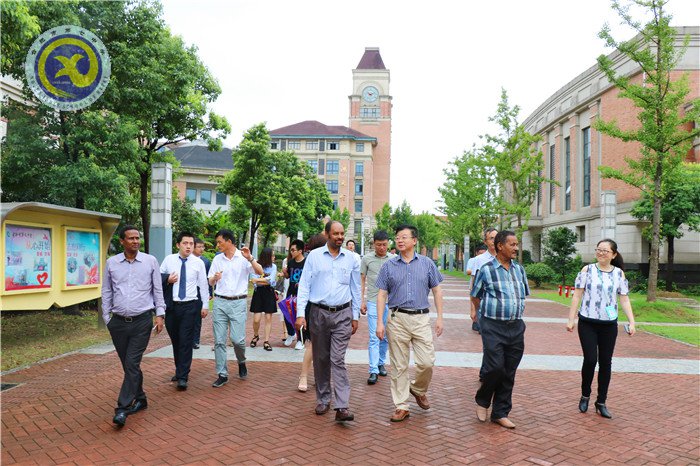 合肥日報：為夢想和遠(yuǎn)方奮斗的時光最美(圖1)