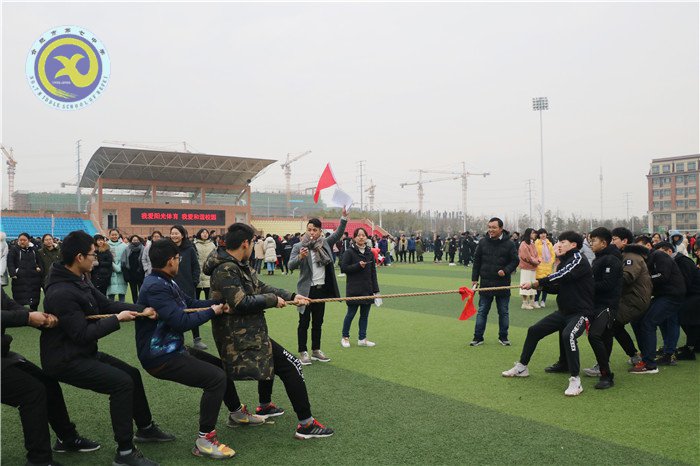 凝心聚力拔河賽，辭舊迎新戰(zhàn)高三(圖1)