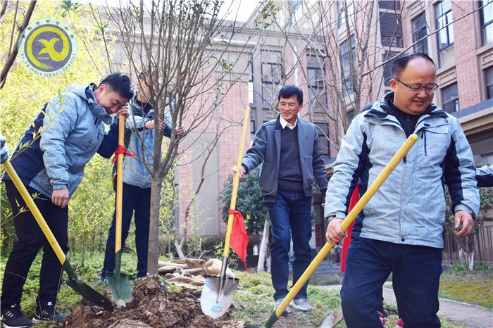 一棵兩棵三棵，棵棵皆成棟梁材(圖5)