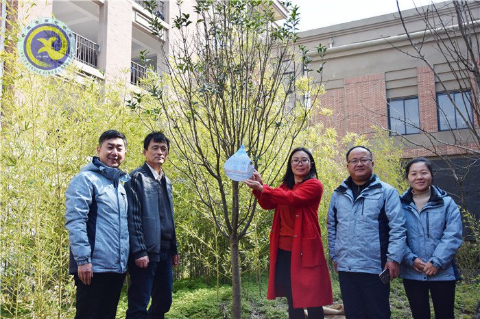 一棵兩棵三棵，棵棵皆成棟梁材(圖8)