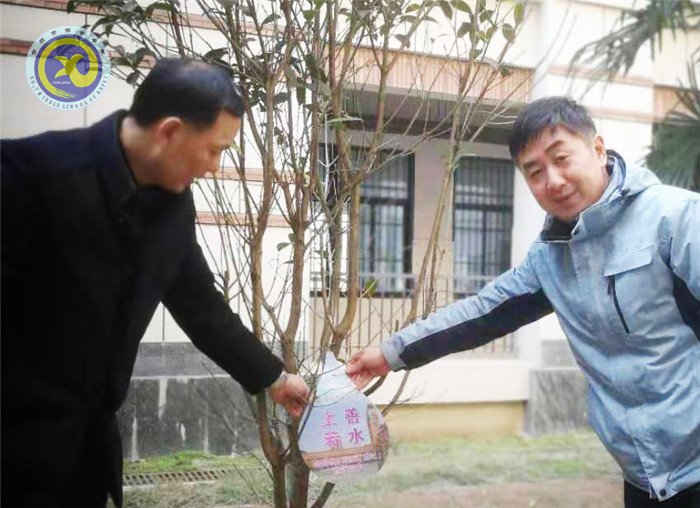 一棵兩棵三棵，棵棵皆成棟梁材(圖7)