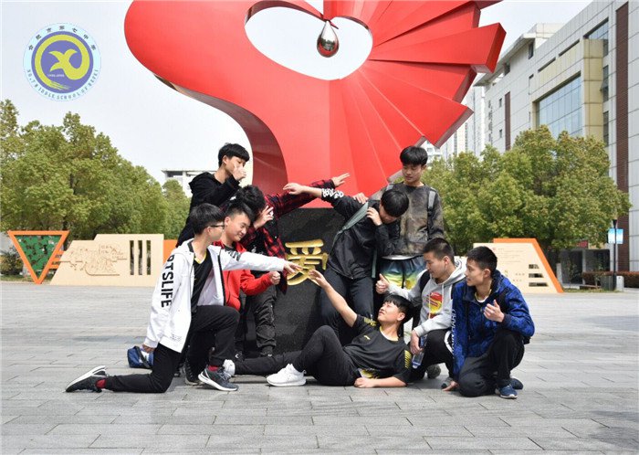 合肥七中在市排球比賽中獲得佳績(jī)(圖7)