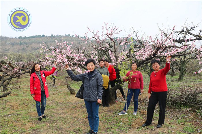 綠柳含煙日，踏青正當(dāng)時(shí)(圖7)