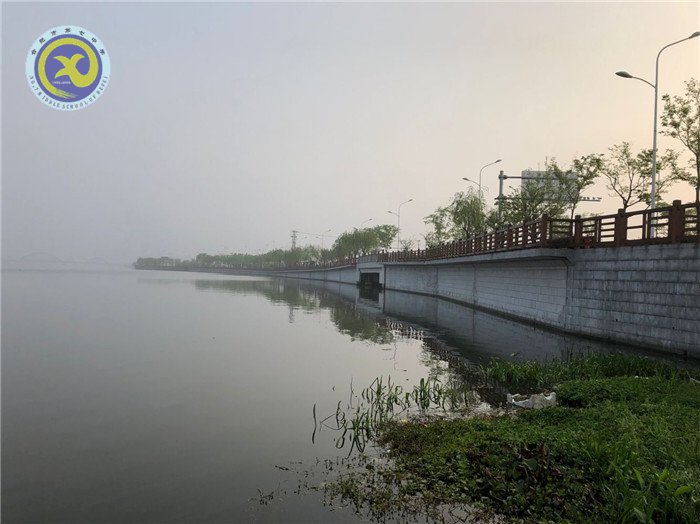 研學(xué)詩畫江南 篤志求真力行(圖3)