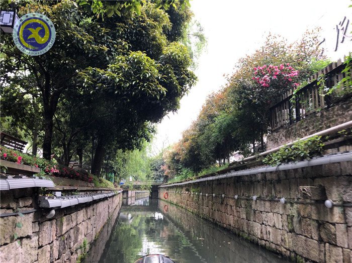 研學(xué)詩畫江南 篤志求真力行(圖4)