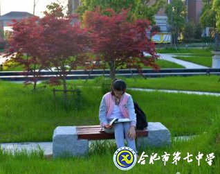 唯美七中  詩畫校園(圖5)