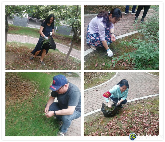 齊心除草整庭院 黨領(lǐng)我行再奮進(jìn)(圖3)