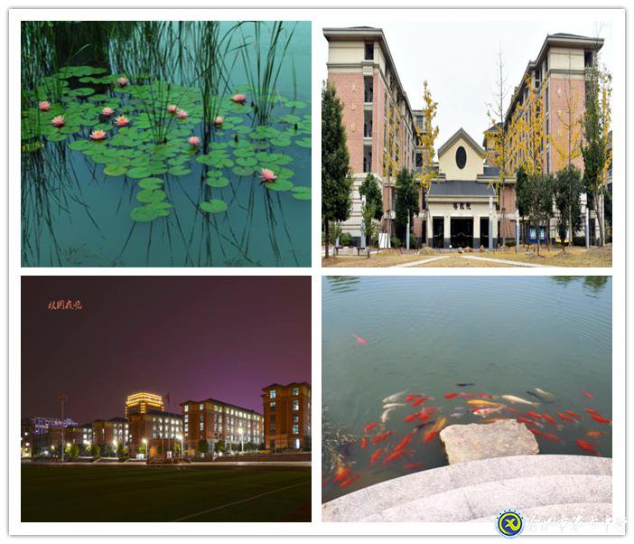 人文七中，書香校園(圖13)