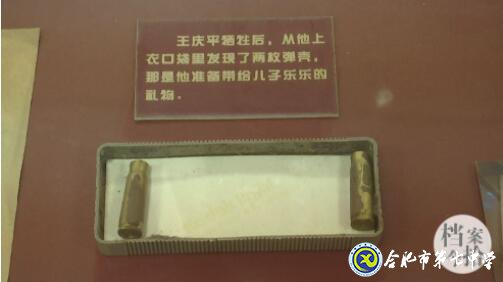 合肥教育法制頻道:愛(ài)在無(wú)私中永恒——追憶王慶平烈士(圖19)