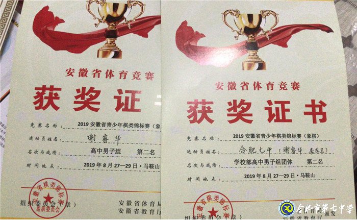 合肥七中喜獲2019年安徽省棋類錦標賽團體第二名(圖7)