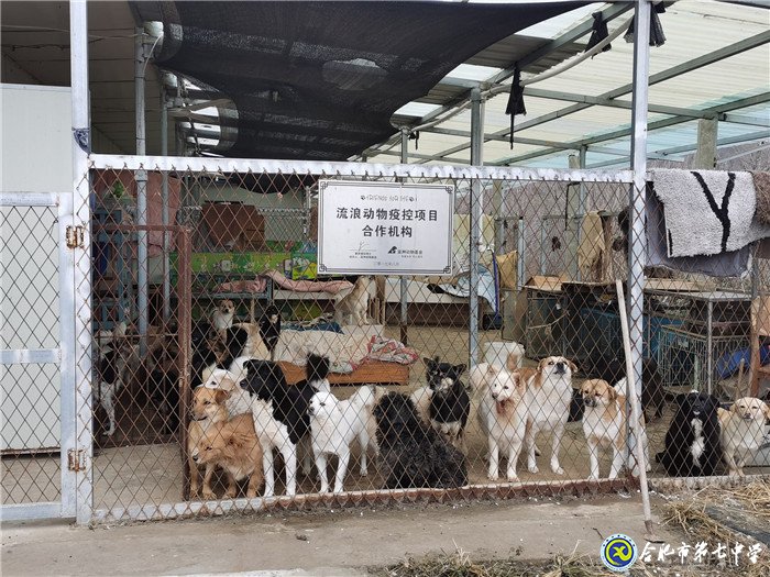 關(guān)愛生命，善待動(dòng)物(圖3)