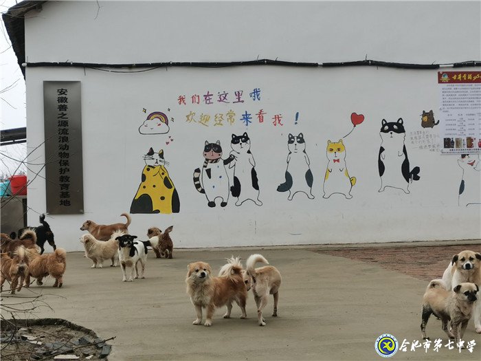 關(guān)愛生命，善待動(dòng)物(圖2)