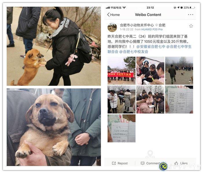 關(guān)愛生命，善待動(dòng)物(圖4)