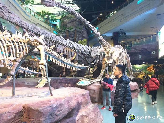 五育并舉，以美輔德(圖2)