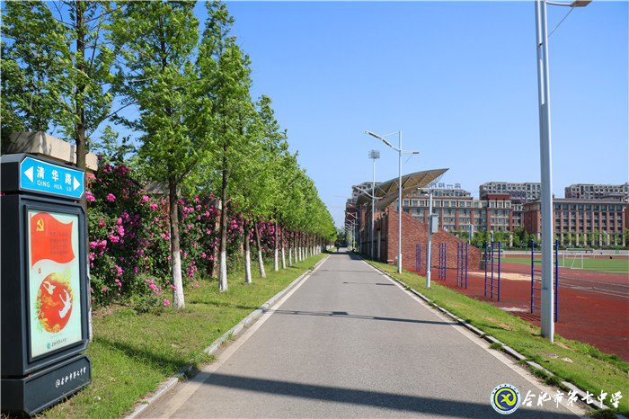 生活老師，我愛您(圖1)