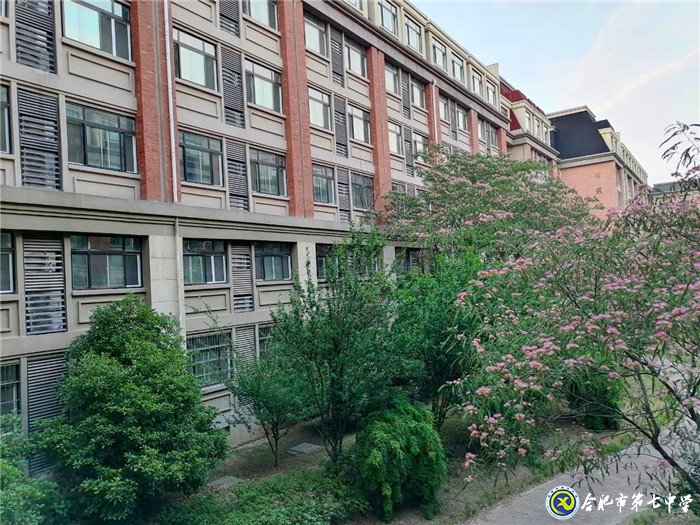 生活老師，我愛您(圖2)