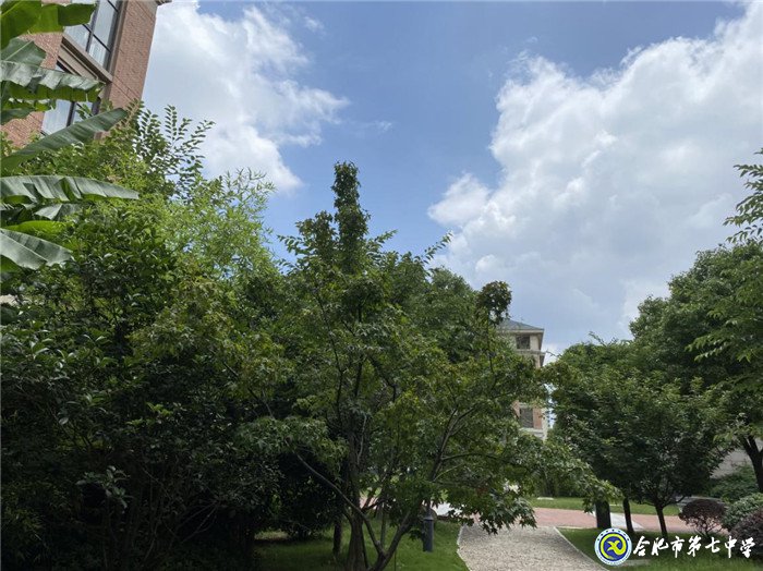 6月19日實習手記：感恩?敬佩?責任(圖13)