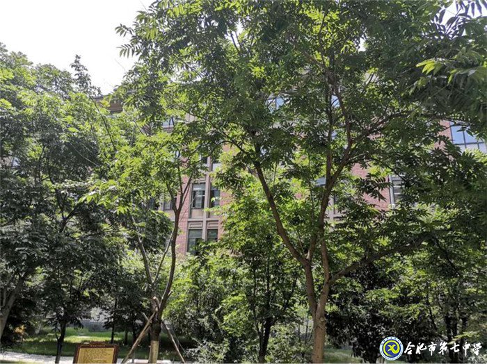 7月1日實(shí)習(xí)手記:站好最后一班崗(圖7)