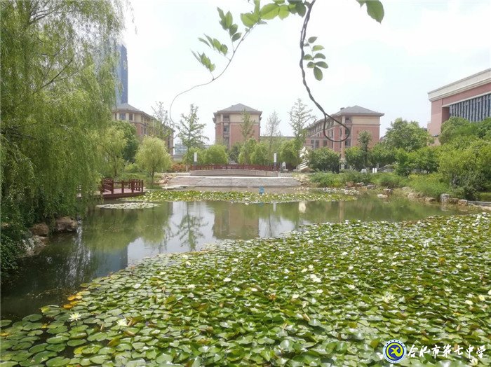 7月3日實習(xí)手記:離別與不舍(圖12)