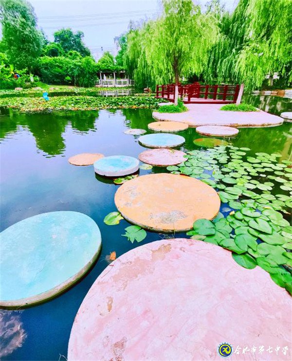 再見，合肥七中(圖1)