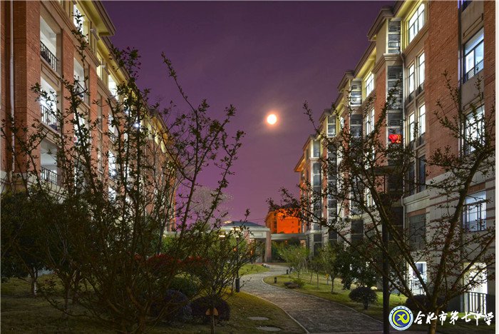 萬家教育：“七”之伊始 向陽新生！合肥市這所高中正在“乘風(fēng)破浪”！(圖10)