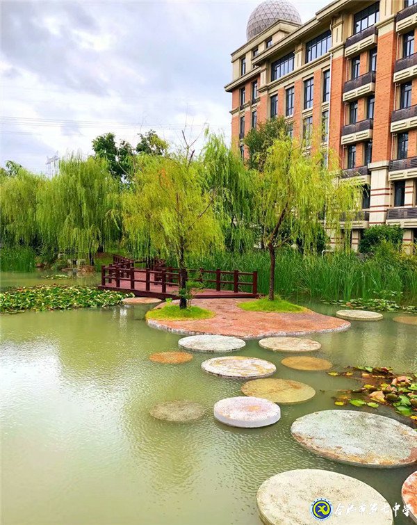 身已動，心未遠(圖2)