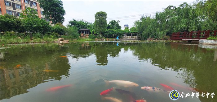 低吟淺唱，訴說七中往日時(shí)光(圖3)