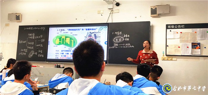 專家視導(dǎo)引方向，交流反思促提升(圖4)