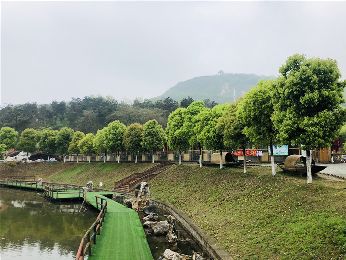 IMG_3595(20210412-144809) - 副本.jpg IMG_3595(20210412-144809) - 副本.jpg