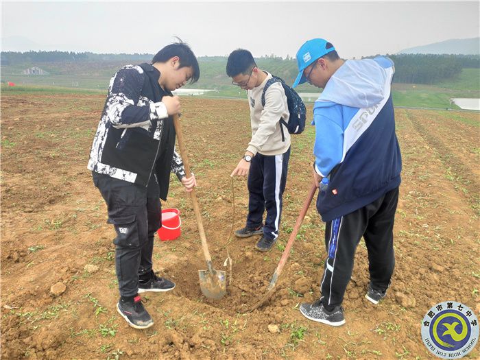 游三瓜公社，學(xué)農(nóng)耕文化(圖4)