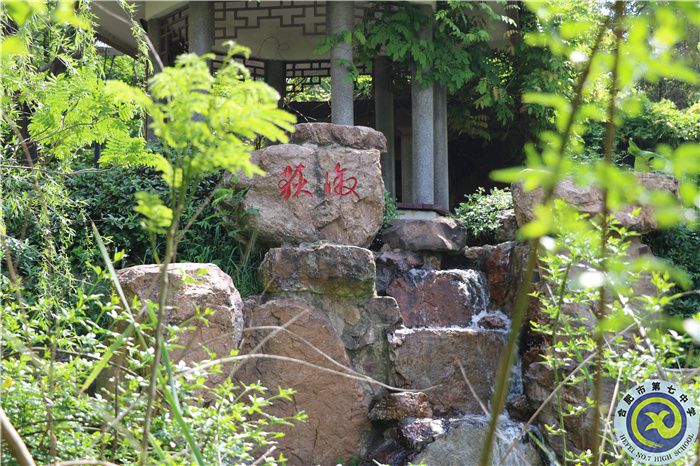 合肥七中、肥西農(nóng)興中學(xué)聯(lián)合倡議書(圖6)