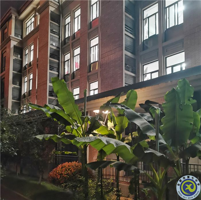 晚間自習(xí) 張子文.jpg