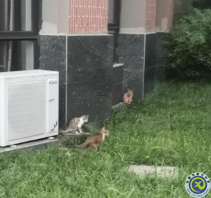 丁雪倩 下班路上.png 丁雪倩 下班路上.png