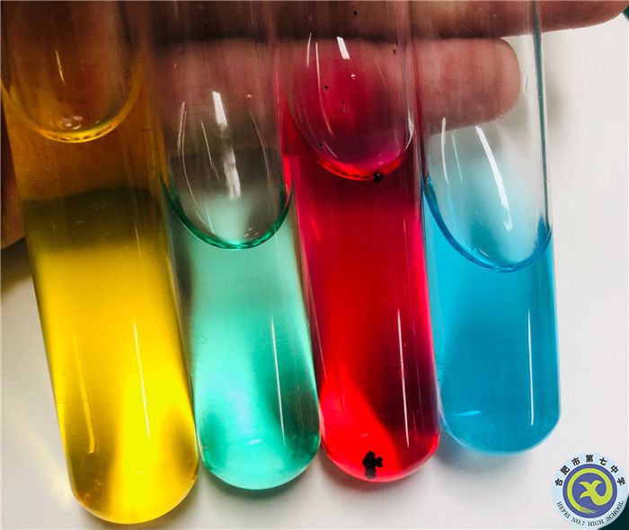 王幸蕊 多彩實(shí)驗(yàn).jpg 王幸蕊 多彩實(shí)驗(yàn).jpg