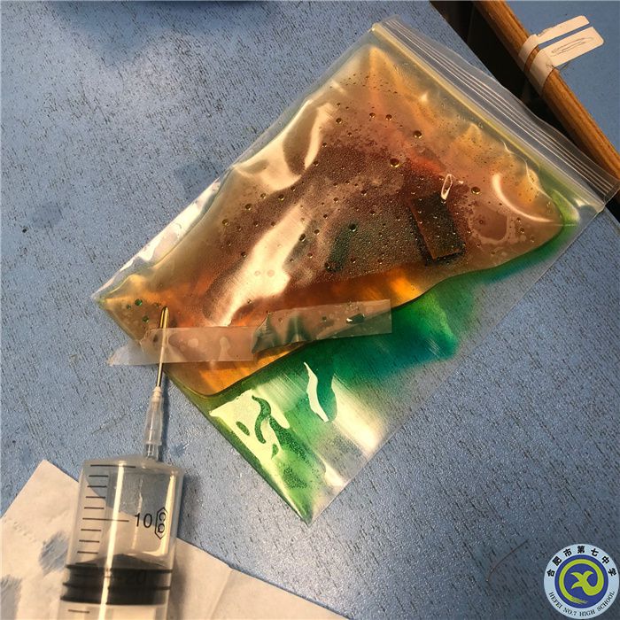 王幸蕊 實驗的樂趣.jpg 王幸蕊 實驗的樂趣.jpg