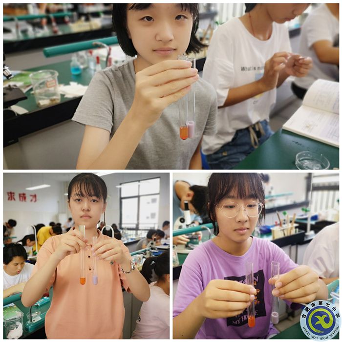 高一學(xué)生正在進(jìn)行生物實(shí)驗(yàn)(二).jpg 高一學(xué)生正在進(jìn)行生物實(shí)驗(yàn)(二).jpg