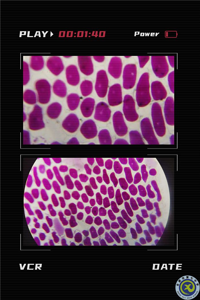 QQ圖片20211130084947.jpg QQ圖片20211130084947.jpg