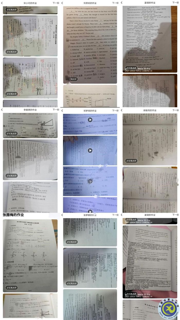 五育并舉享假期，繽紛寒假爭韶華(圖3)