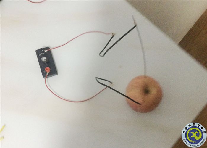 合肥七中高一、高二年級開展實驗活動(圖2)