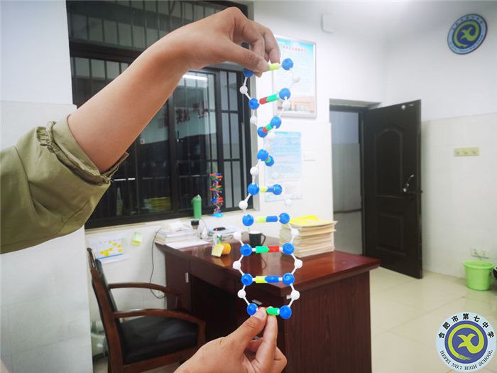 合肥七中高一、高二年級開展實驗活動(圖4)