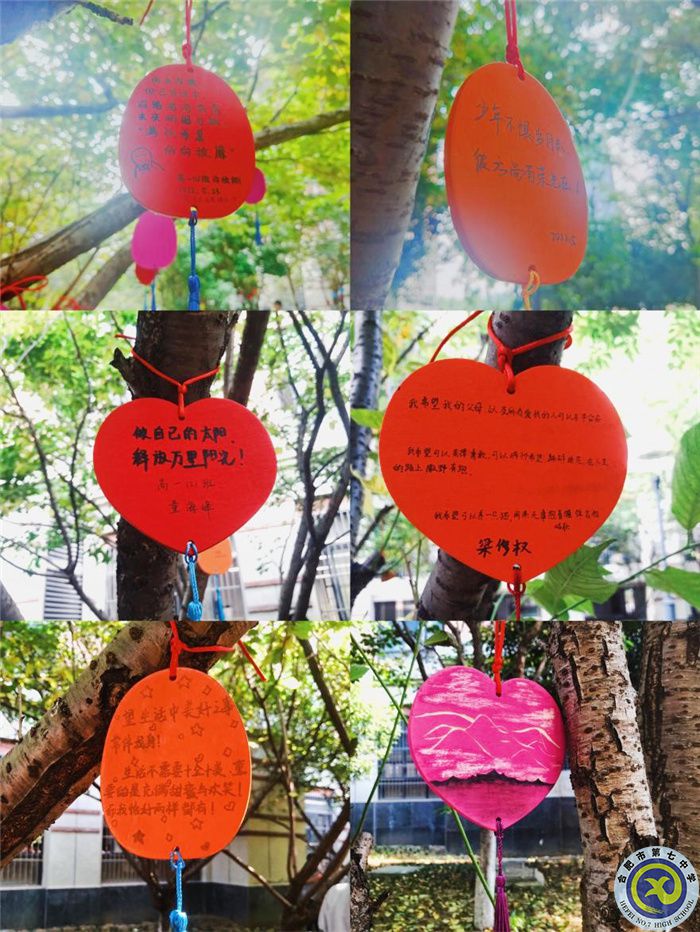 合肥七中開(kāi)展心理健康節(jié)之“生活中的小確幸”掛牌活動(dòng)(圖3) 合肥七中開(kāi)展心理健康節(jié)之“生活中的小確幸”掛牌活動(dòng)(圖3)