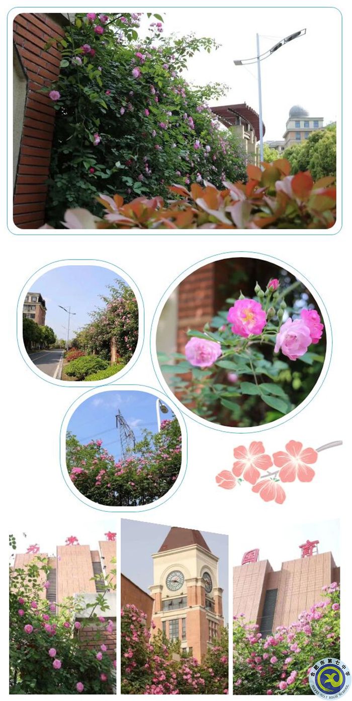 QQ截圖20230423123904.jpg QQ截圖20230423123904.jpg