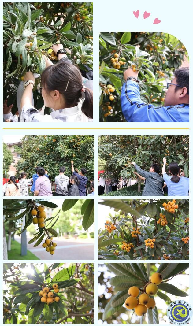 QQ截圖20230517165548.jpg QQ截圖20230517165548.jpg