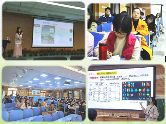 合肥七中高一年級“青藍工程”成果匯報系列報道(六)(圖4) 合肥七中高一年級“青藍工程”成果匯報系列報道(六)(圖4)